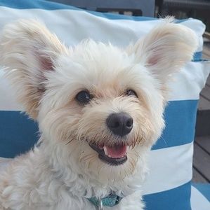 Meet your Posher, Merrielle